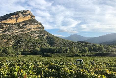 Clos Signadore - 1