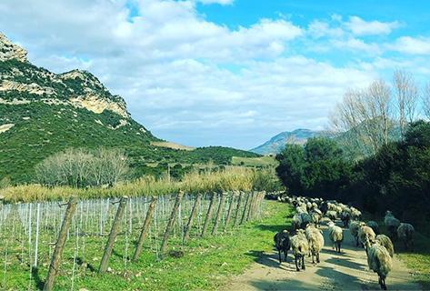 Clos Signadore - 4