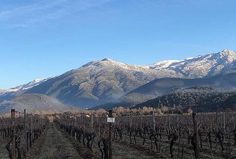 Clos Venturi - 2