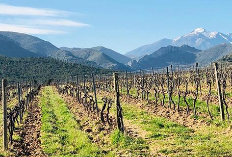 Clos Venturi - 4