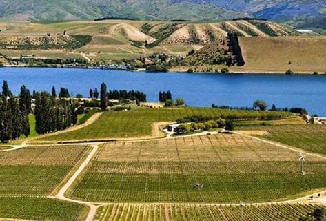 Foto della tenuta - Cloudy Bay