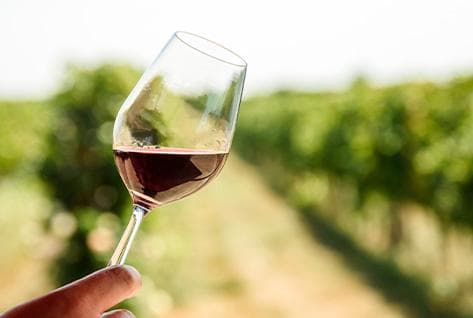 Cosse-Maisonneuve - 3