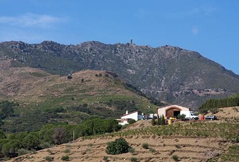 Photo du domaine partenaire Coume del Mas