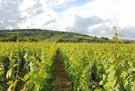 Croix et Courbet - 2