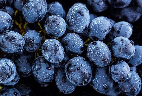 Croix et Courbet - 3