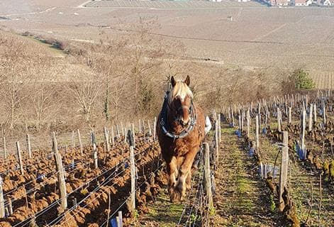 Croix et Courbet - 4