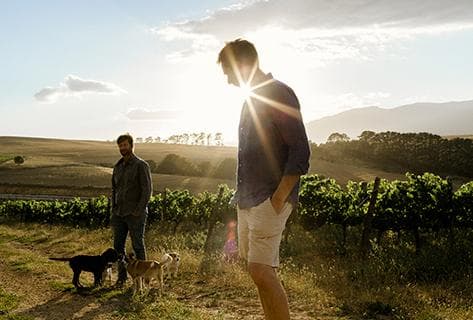 Foto des Partnerweinguts Crystallum