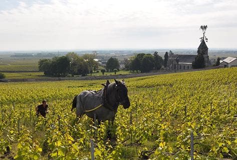 Photo of partner producer De Sousa