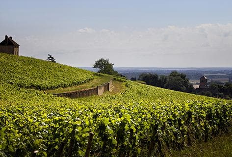 Foto della tenuta - Denis Mortet