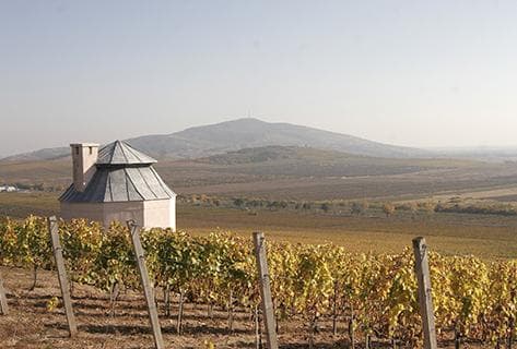 Foto della tenuta - Disznoko