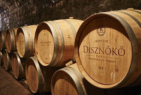 Disznoko - 4