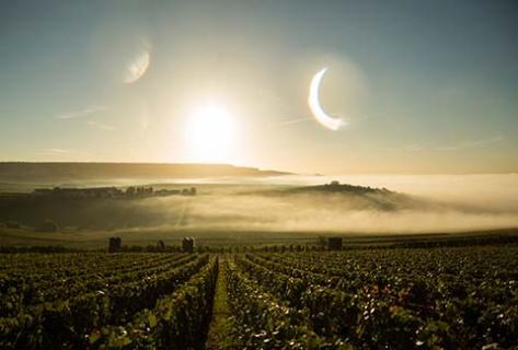 Dom Pérignon - 2
