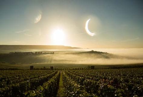 Dom Pérignon - 2