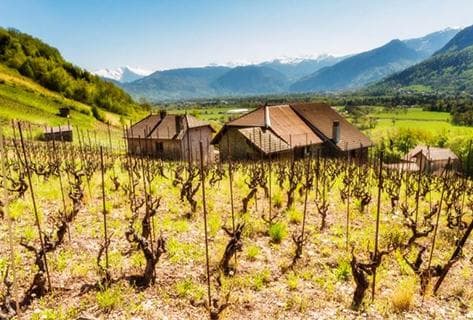 Domaine Belluard - 1