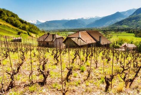 Domaine Belluard - 1