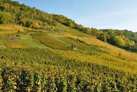 Domaine Belluard - 3