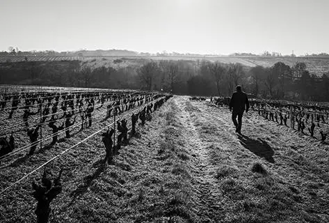 Domaine de Bellevue - 4