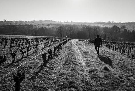 Domaine de Bellevue - 4