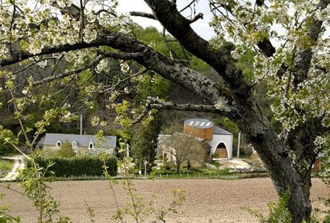 Foto des Partnerweinguts Domaine de Bellivière