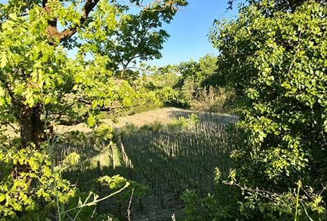 Domaine de l'A - 2