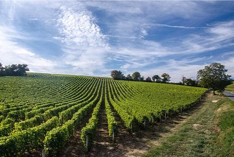 Domaine de La Butte - 3