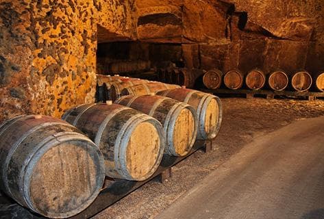 Domaine de La Butte - 4