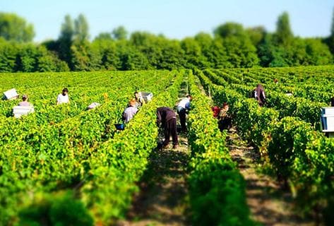 Domaine de la Solitude - 2