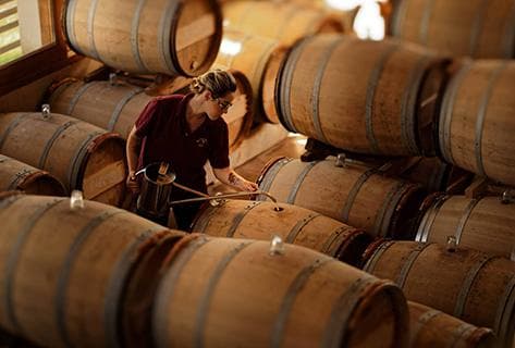 Domaine de la Solitude - 4