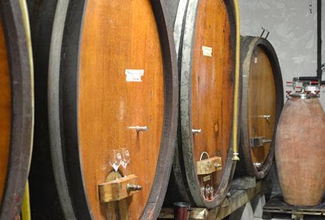 Domaine de la Touraize - 3