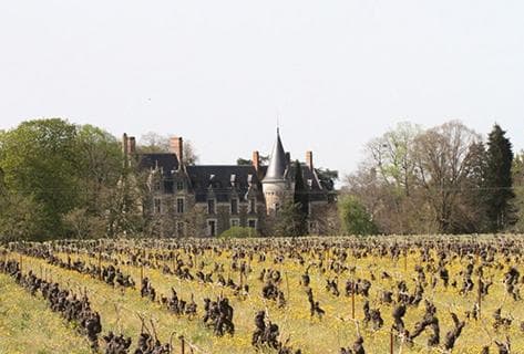 Foto della tenuta - Domaine de l'Ecu