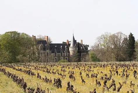 Foto des Partnerweinguts Domaine de l'Ecu