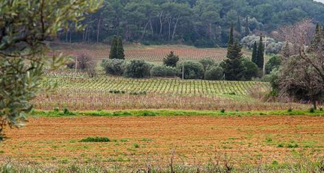 Photo principale du domaine