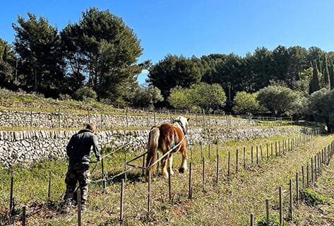 Domaine de Terrebrune - 2
