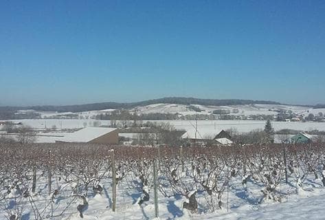 Domaine des Bodines - 4