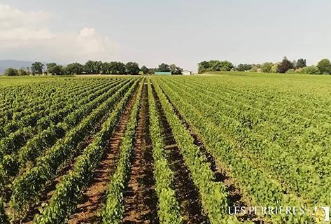 Domaine des Perrières - 4