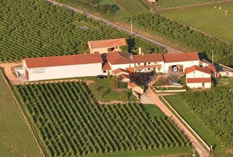 Domaine des Pothiers - 4