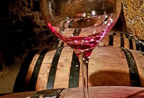 Domaine des Roches Neuves - 2