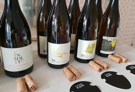 Domaine des Roches Neuves - 4