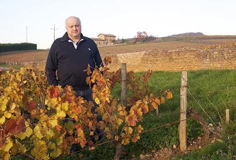 Domaine des Terres dorées - 3