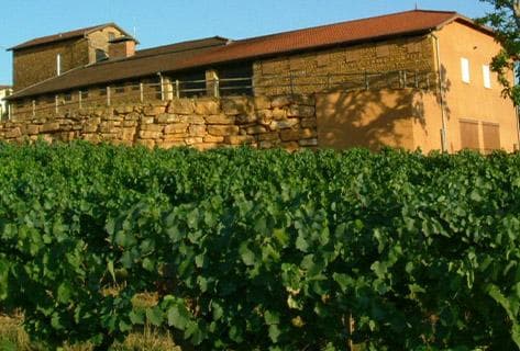 Domaine des Terres dorées - 4