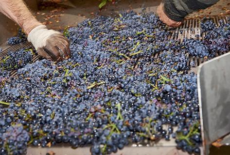 Domaine Du Couvent - 1