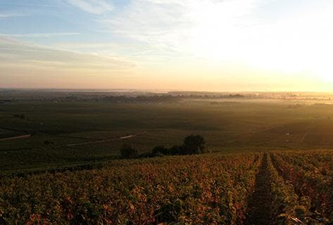 Domaine Du Couvent - 2