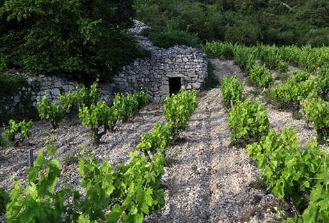 Domaine du Pas de l'Escalette - 3