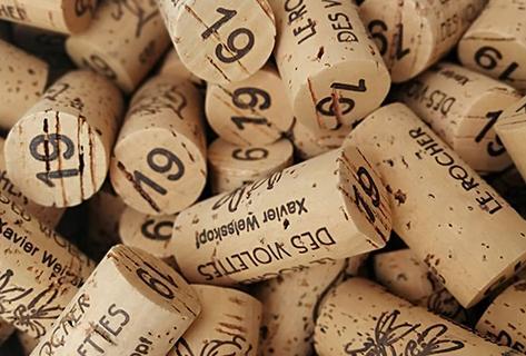 Domaine du Rocher des Violettes - 4