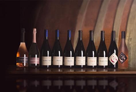 Domaine du Vissoux - 2