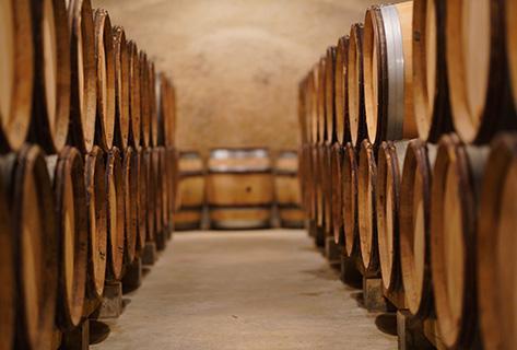 Domaine Dubreuil-Fontaine - 2
