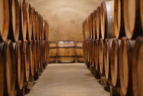 Domaine Dubreuil-Fontaine - 2