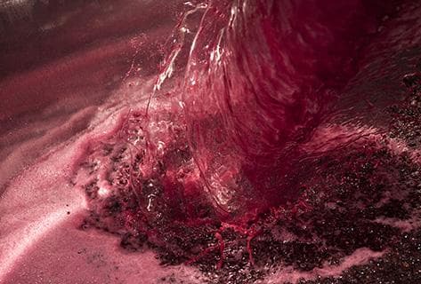 Domaine Dubreuil-Fontaine - 3