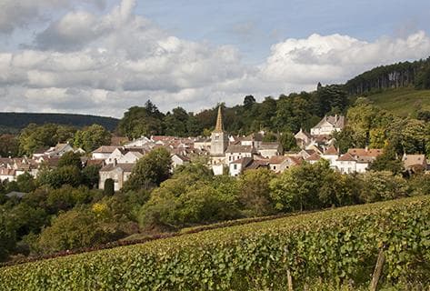 Domaine Dubreuil-Fontaine - 4