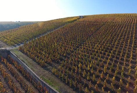 Photo du domaine partenaire Domaine Gerin